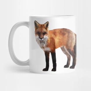 Dramabite Watercolor red fox wildlife painting illustration Mug